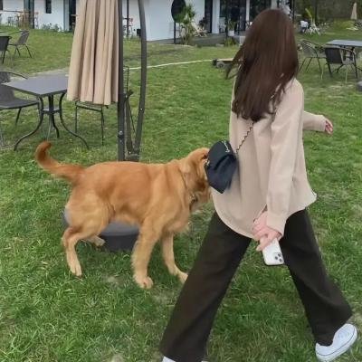 眼神阳光的男孩
